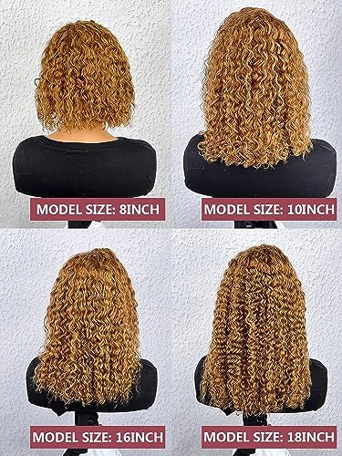 Curly Bob Wig Human Hair 13x4 Lace Front Wigs Human Hair Curly Wigs for Black Women HD Transparent Water Wave Lace Front Wigs Wet and Wavy Glueless