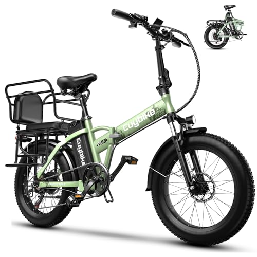 1000W Folding Electric Bike,48V 20AH Removable Battery E Bike,30+MPH,80 Miles Max Range Electric Bike for Adults,20" Fat Tire Foldable ebike