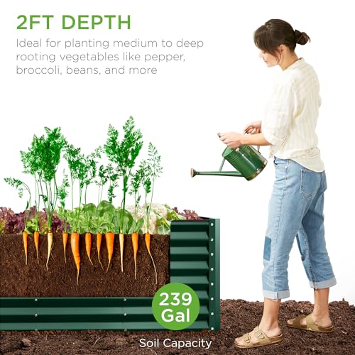 Best Choice Products 8x4x2ft Outdoor Metal Raised Garden Bed, Deep Root Planter Box for Vegetables, Flowers, Herbs