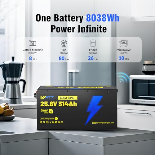 12V 314Ah Mini LiFePO4 Lithium Battery with Bluetooth 5.0, 200A BMS, 4.01kWh Energy, Upgraded Aluminum Cooling Fins & Braided Copper Wires, for RV