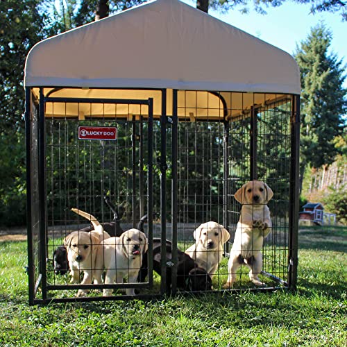 Stay Series 4 by 4 by 4.3 Feet Studio Jr. Black Powder Coat Steel Frame Outdoor Dog Kennel with Waterproof Canopy Roof and Gate Door, Khaki