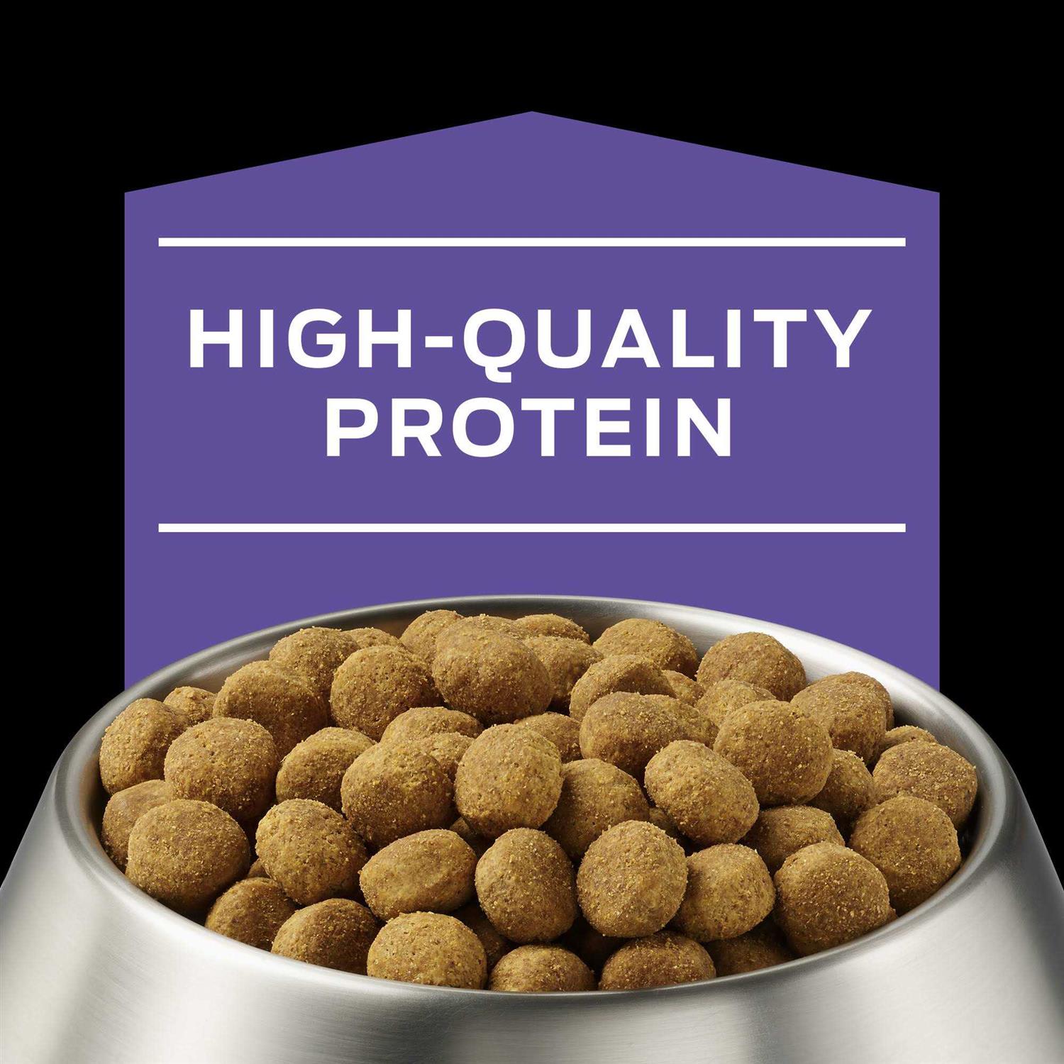 Purina Pro Plan Veterinary Diets DH Dental Health Formula Dry Dog Food