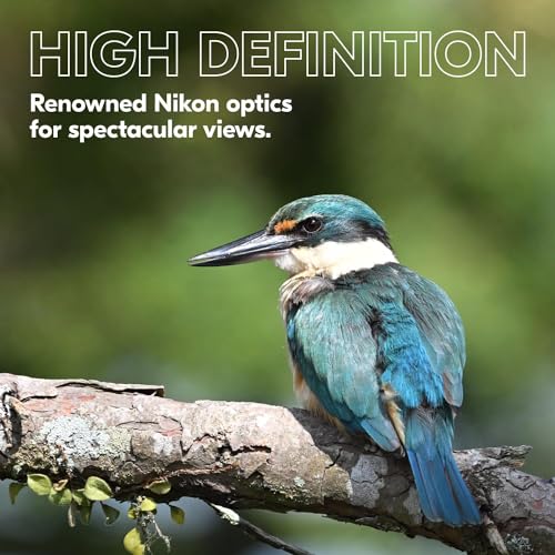 Nikon PROSTAFF P3 8x42 Binocular | Waterproof, fogproof, rubber-armored Full-Size Binocular