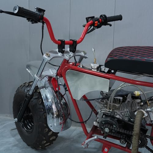 JMCHSTORE Stainless Steel Mini Bike Gas Fuel Tank for Coleman CT200U Baja DB30 ( Blitz , Dirt Bug, Racer ) Doodle Bug Mini bike