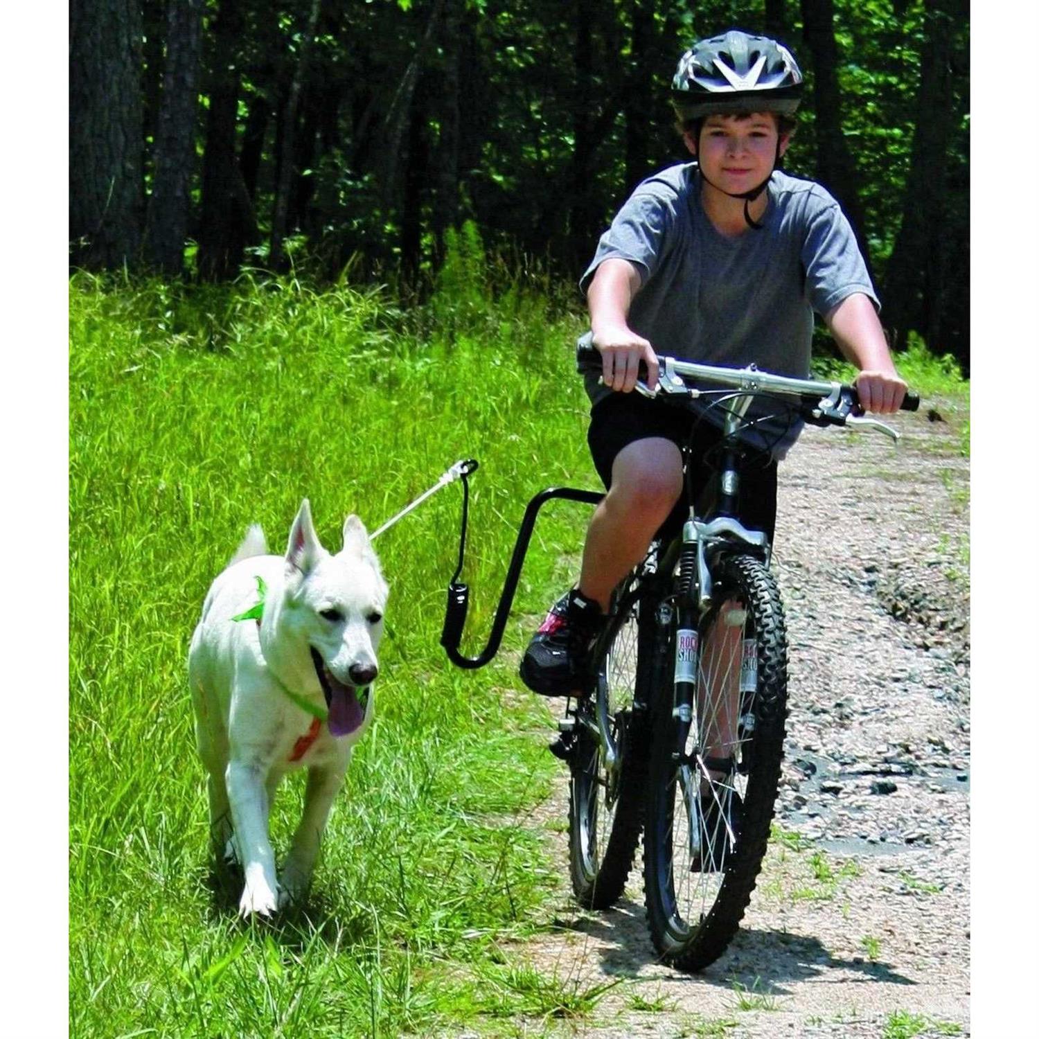 Springer Hands Free Dog Leash Bike Attachment Kit -Pet Exerciser for Running - Pet Supplies online store