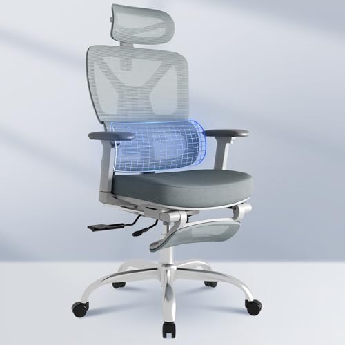 FLEXISPOT ErgoX Premium Ergonomic Office Chair with Footrest- Adjustable 3D Armrests, Dynamic Lumbar Support, Recline & Tilt Function, Mesh Seat