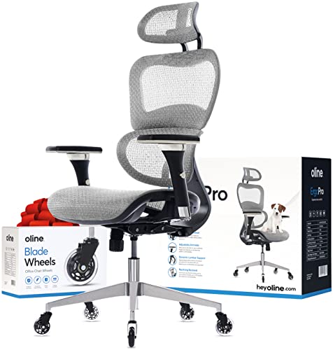 Oline ErgoPro Ergonomic Office Chair, Rolling Desk Chair with 4D Adjustable Armrest, 3D Lumbar Support, Blade Wheels