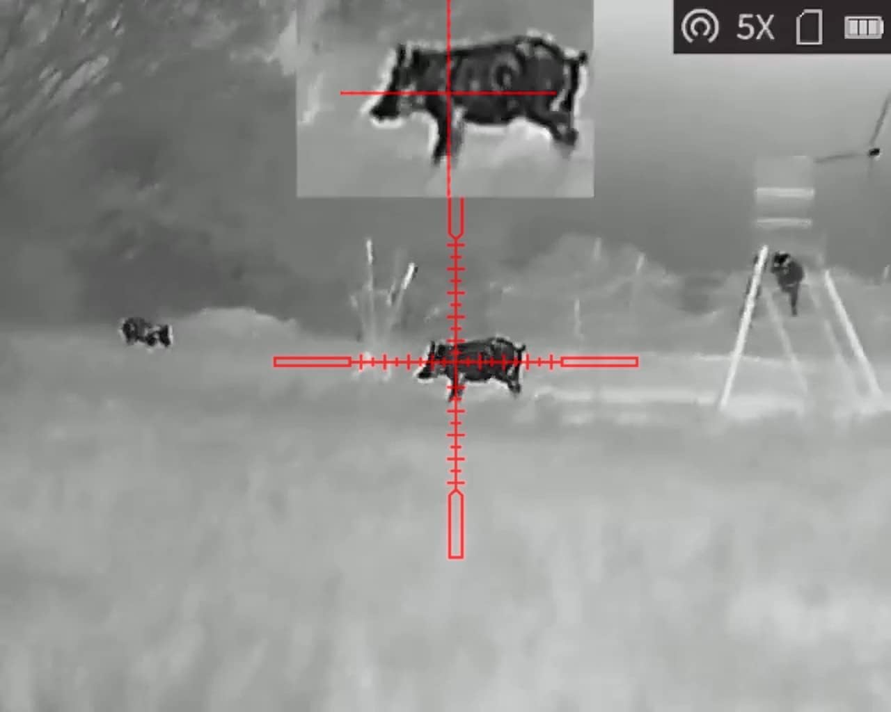 AGM Global Vision Thermal Scope Rattler TS19-256 Thermal Imaging Rifle Scope 256x192 (50 Hz), 19 mm Lens, Black