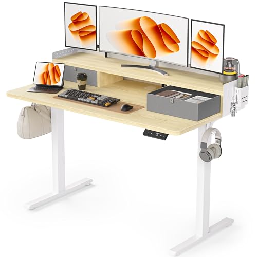 48x24 Inches Electric Standing Desk with 2 Drawers, Height Adjustable Stand up Desk for Home Office, Ergonomic Sit to Stand Table with Storage Shelf