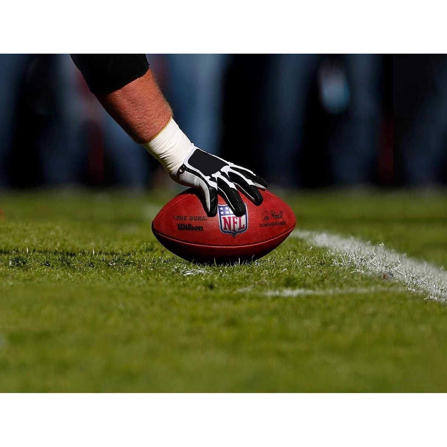 Wilson The Duke Official NFL Game Football - Sports Supplies Online Store