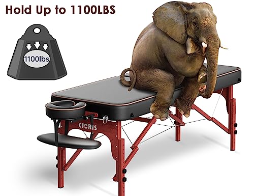 CLORIS 84" Professional Massage Table Portable 2 Folding Lightweight Facial Solon Spa Tattoo Bed Height Adjustable with Carrying Bag & Aluminium Leg