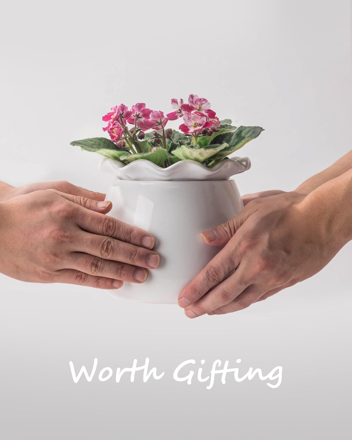 Self Watering Plant Pot, 6 Inch African Violet Pots Maintenance, Ceramic Self-Watering Planter for Indoor Plants