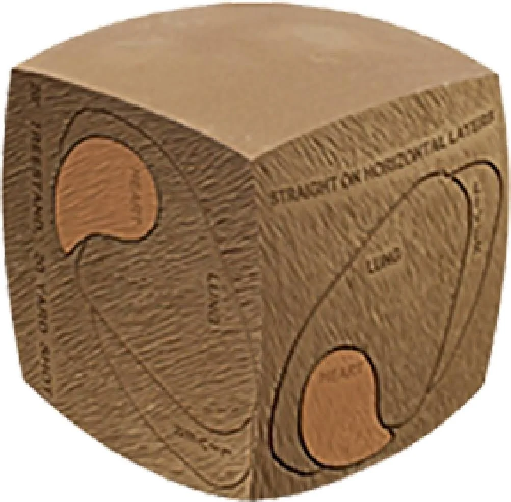 Glendel Replacement Core - Full-rut Buck