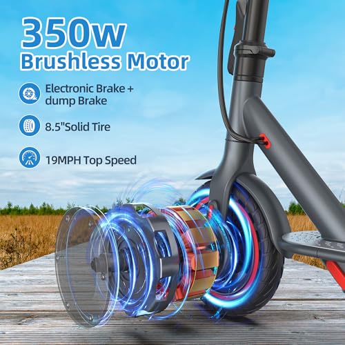 Electric Scooter Adults, Powerful 350W E-Scooter, Max 19 Mph & 15-19 Miles Range Scooters, Folding Scooters with 8.5" Solid Tires