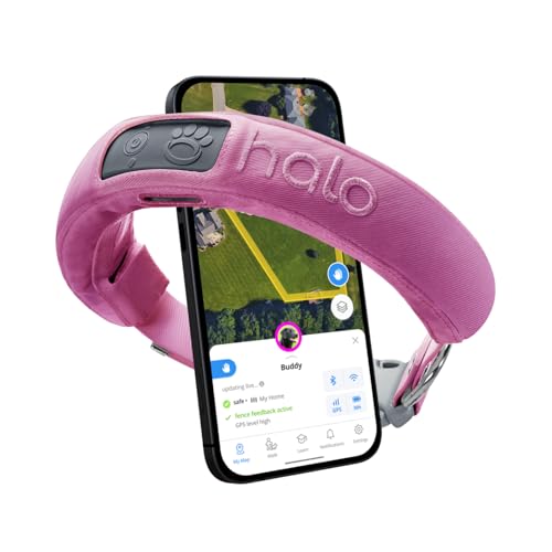 Halo Collar 3, Multifunctional GPS Wireless Dog Fence & Dog Training Collar with GPS Tracker, Subscription Required, Waterproof, Graphite (Small)