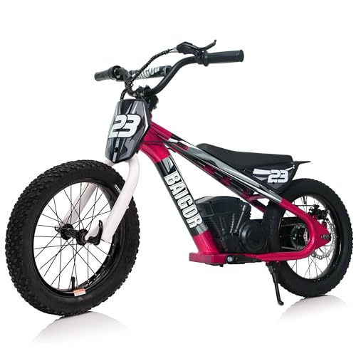 wanan Electric Dirt Bike for Kids 6-12 with Shock-Absorbing Front Fork, 250W Electric Motorcycle Up to 15.5MPH, 24V Detachable Battery, 16''