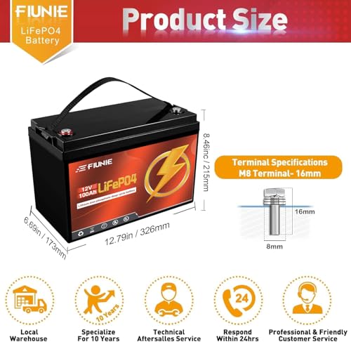 12V 100Ah lithium battery with Bluetooth for trolling motor, RV, Comping, Marine, Solar, Off-Grid
