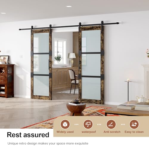Fredbeck Double 30X84 Glass Barn Door (60 barn Door with 11ft Hardware kit inlcuded