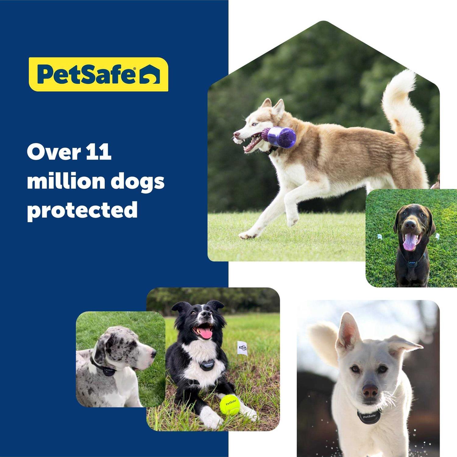 PetSafe Guardian GPS Wireless Dog Fence Collar - Pet Supplies online store