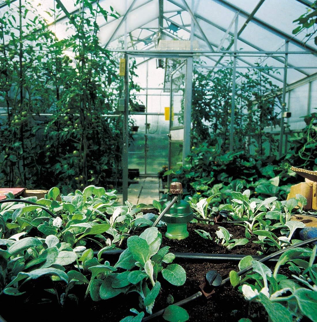 Blumat Drip System - 6 Pack Small Kit with Reservoir - Smart Automatic Watering System, Great for Vacation, Made in Austria