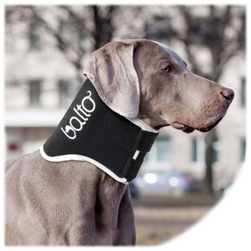 Balto Dog Cone Alternative E-Collar - Pet Supplies online store