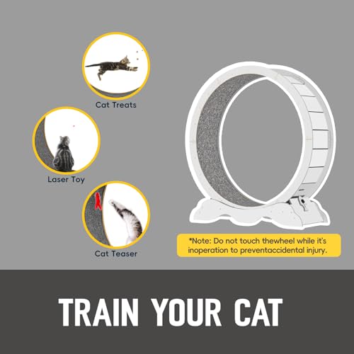 Cat Exercise Wheel 45 Inch Cat Treadmill for Indoor Cats, Running Wheel with Detachable Carpeted Runway