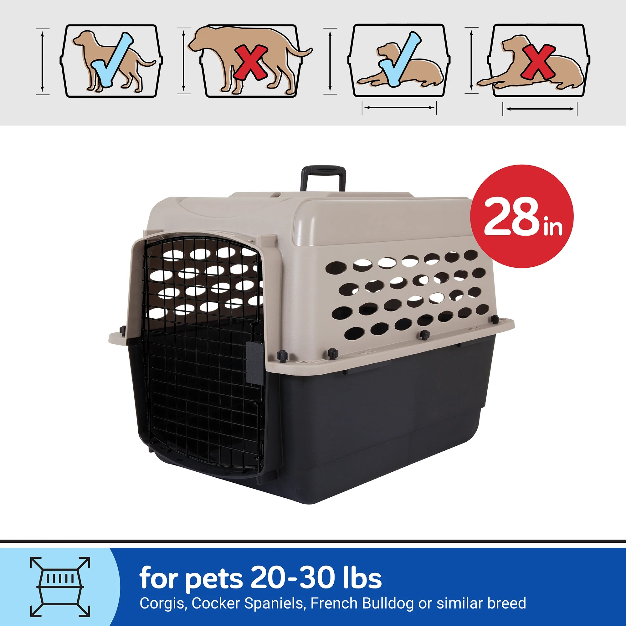 Vibrant Life Pet Kennel 19 X-Small Plastic Dog Crate Portable Carrier for Pets Up To 10 lbs