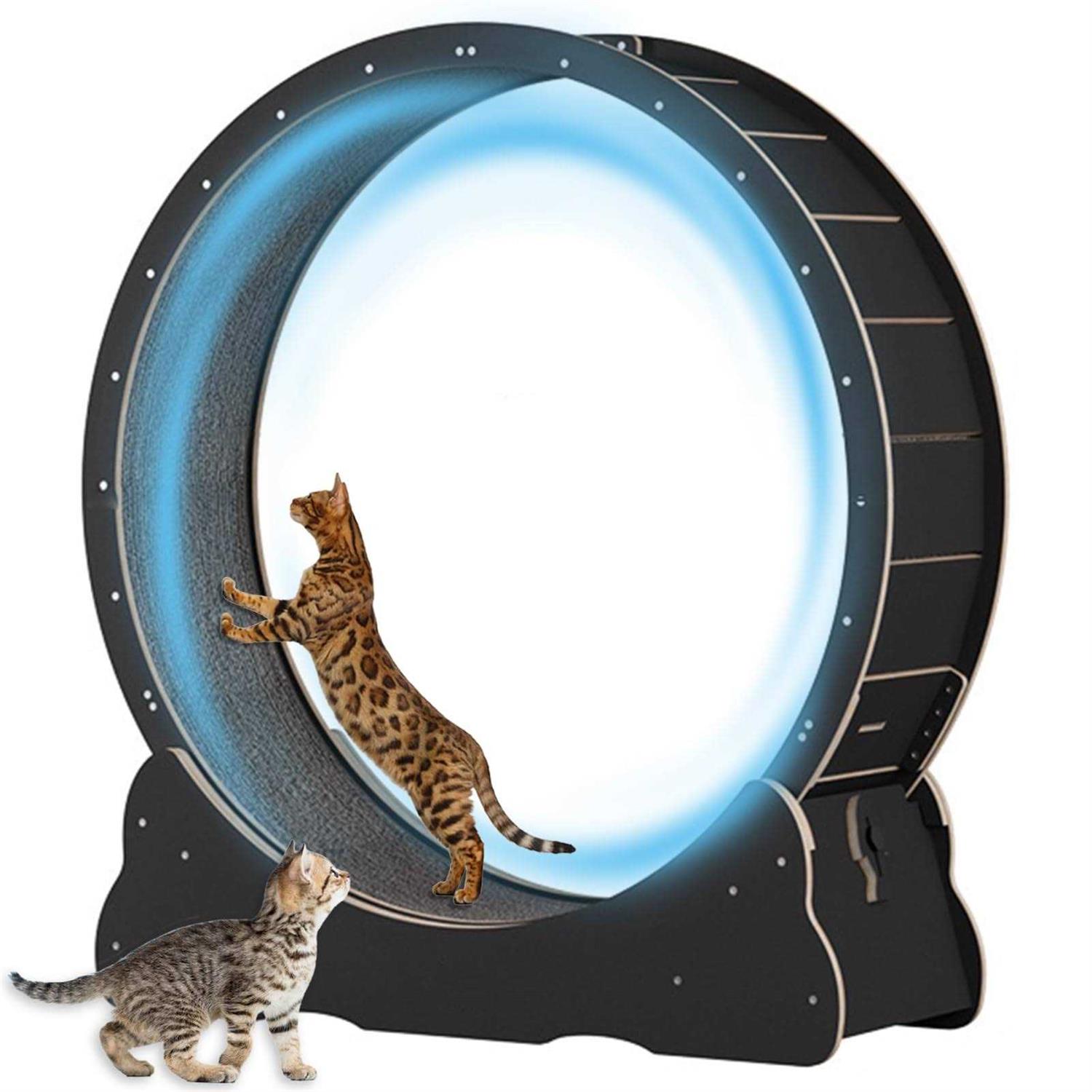 Large Cat Exercise Wheel 40 inch Solid Wood Cat Wheel Exerciser for Indoor Cats - Pet Supplies online store