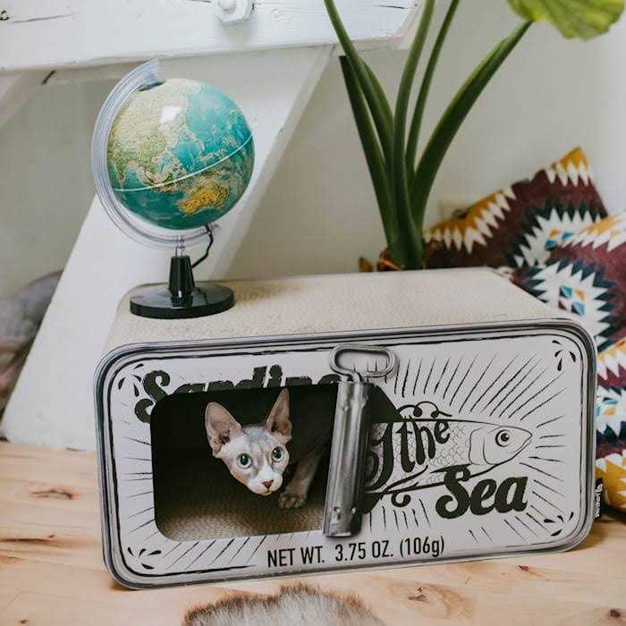 District 70 Sardine Cardboard Cat Scratcher - Pet Supplies online store