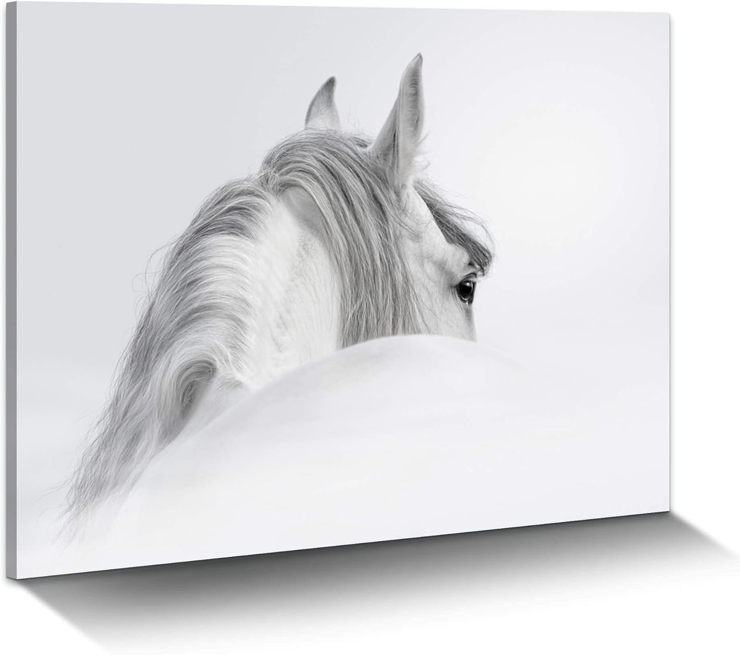 Bedroom Horse Canvas Wall Art: White Pony Picture Equestrian Print Large Modern Animal Portrait Artwork Contemporary Wildlife Painting for Bathroom