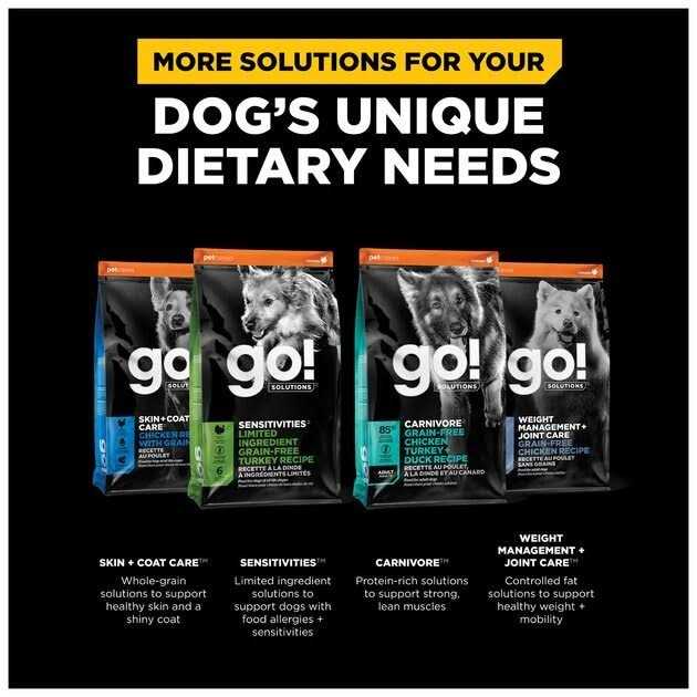 Go! Solutions Digestion Gut Health Salmon Recipe with Ancient Grains for Dogs - Pet Supplies online store