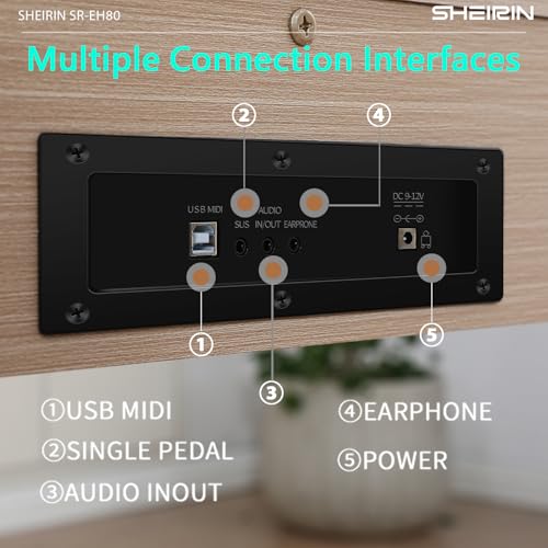 Digital Piano Hammer Action Keyboard 88 Keys Upright Acoustic Electric Weighted Piano Beginner MIDI Cover Full Size Sustain Pedal Stand Real