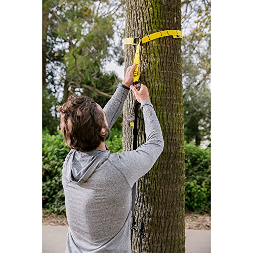 TRX GO Suspension Trainer System, Full-Body Workout for All Levels & Goals, Lightweight & Portable, Fast, Fun & Effective Workouts