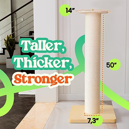 50" Tall Cat Scratching Post, Extra-Large Cat Scratch Post for Biggest Cats (Maine Coon), 7.3” Thick Post, 36lbs Weight