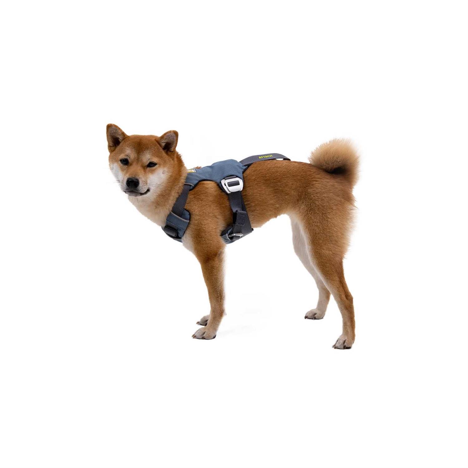 Ruffwear Load Up Harness - Pet Supplies online store