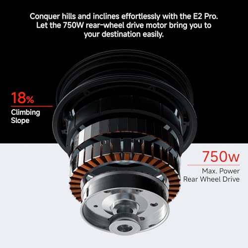 Segway Ninebot E2 Plus II/ E2 Pro Electric Scooter, 15.5 mph Top Speed, Front Suspension (E2P2 Only), Portable Kick Scooter for Adults