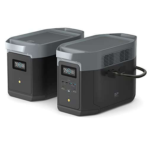 EF ECOFLOW DELTA 2 MAX Power Station - Radiant Selections