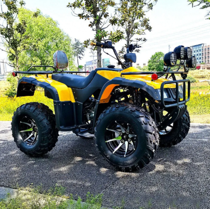 250cc Four-Wheel Drive ATV Quad ATV Farmer Quad Bike