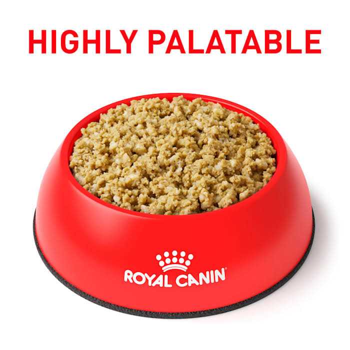 Royal Canin Veterinary Diet Vegetarian Canned Dog Food - Pet Supplies online store
