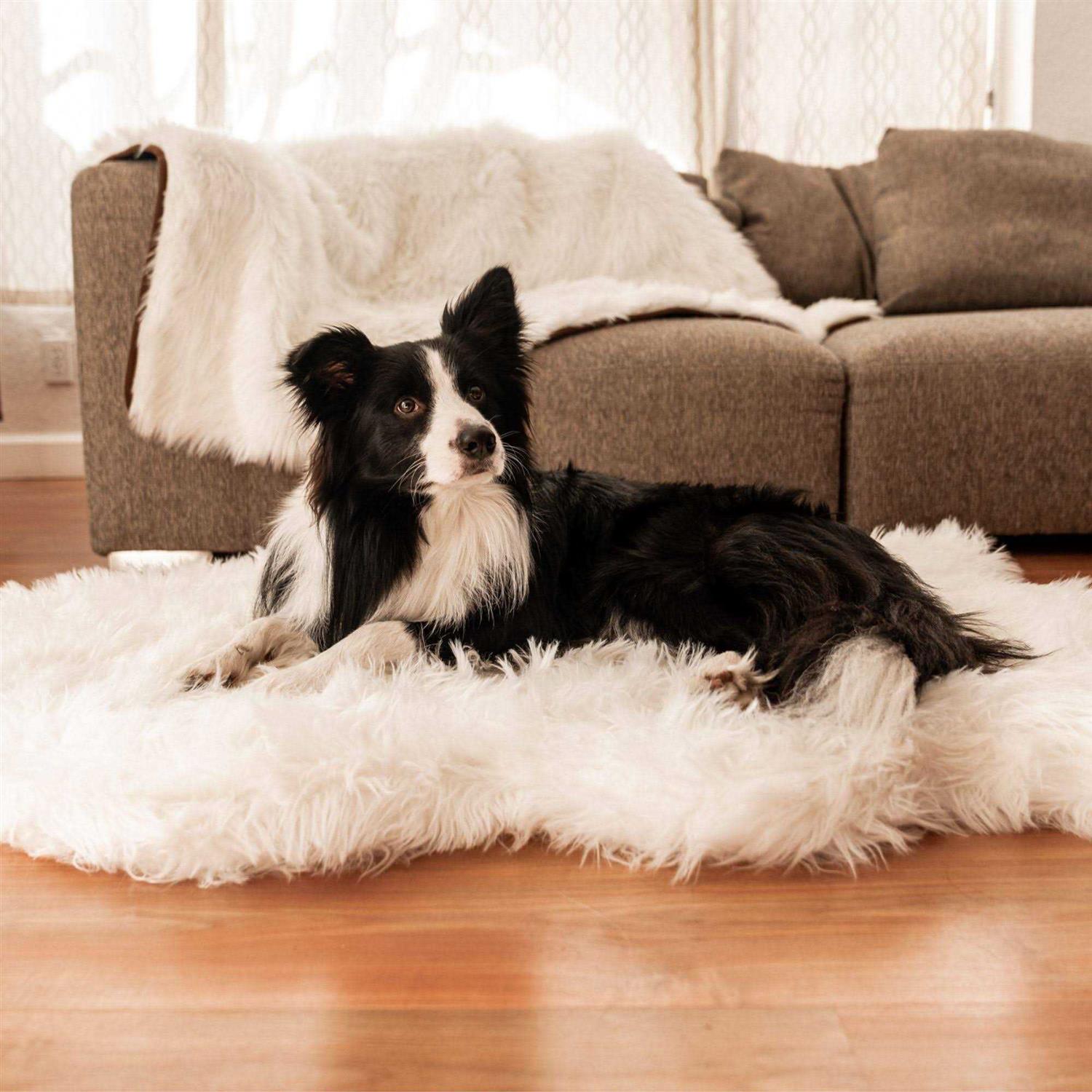 Paw PupRug Faux Fur Orthopedic Dog Bed - Pet Supplies online store