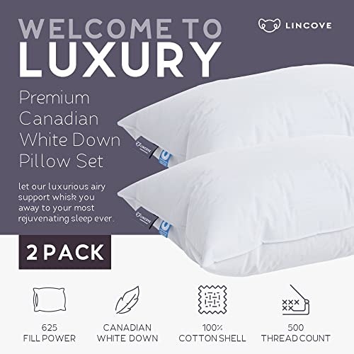 Lincove Cloud Natural Canadian Down and Waterfowl Feather Pillow, White Luxury Sleeping Pillow - 625 Fill Power, 500 Thread Count Cotton Shell