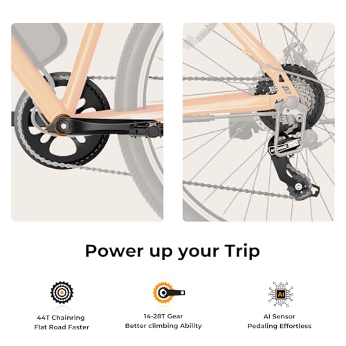 Jasion EB5 Electric Bike for Adults with Peak 500W Brushless Motor, 40Miles 20MPH Commuting Electric Mountain Bike with 360Wh Removable Battery