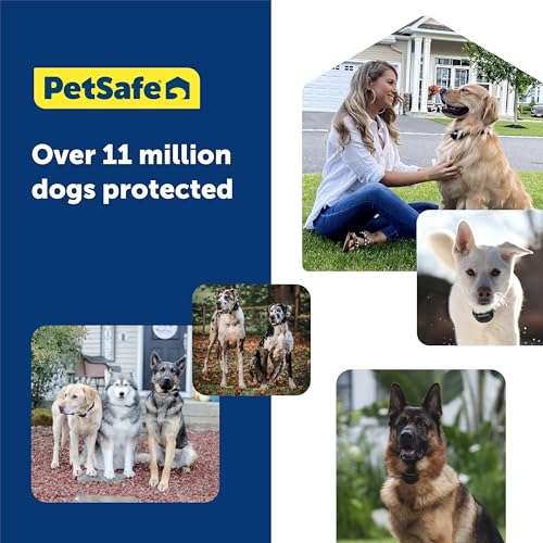 PetSafe Guardian GPS 2.0 Dog Fence + Tracking – Wireless Dog Fence with Reliable Dual Frequency GPS Tracking – Smaller Collar for All Breeds 10 lbs