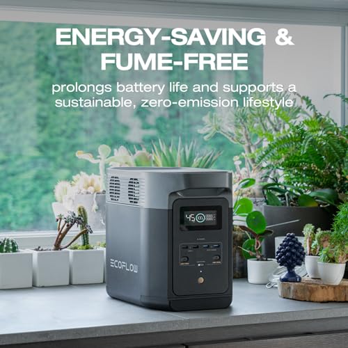 EF ECOFLOW Solar Generator DELTA2 with 220W Solar Panel, LFP(LiFePO4) Battery, Fast Charging, Portable Power Station for Home Backup Power
