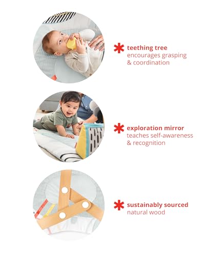 Skip Hop Discoverosity Montessori-Inspired 3-Stage Activity Center & Play Table for Baby Ages 4m+