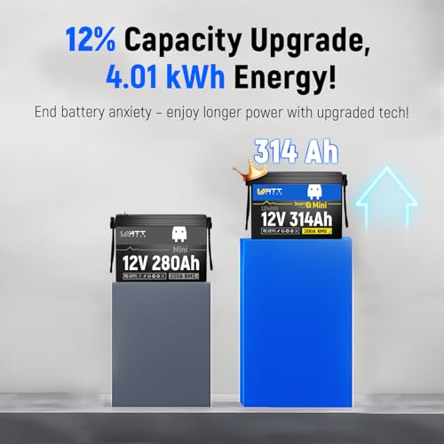 12V 314Ah Mini LiFePO4 Lithium Battery with Bluetooth 5.0, 200A BMS, 4.01kWh Energy, Upgraded Aluminum Cooling Fins & Braided Copper Wires, for RV