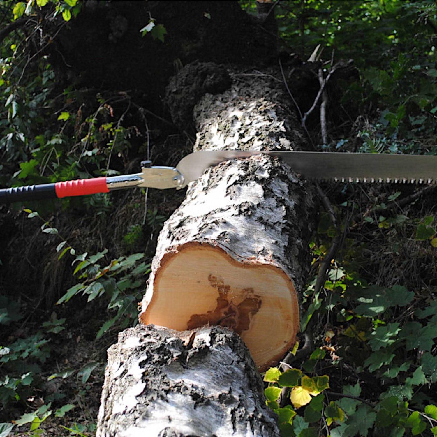 Silky Katanaboy 500mm Folding Saw - Shop Hardware Tools Online Store
