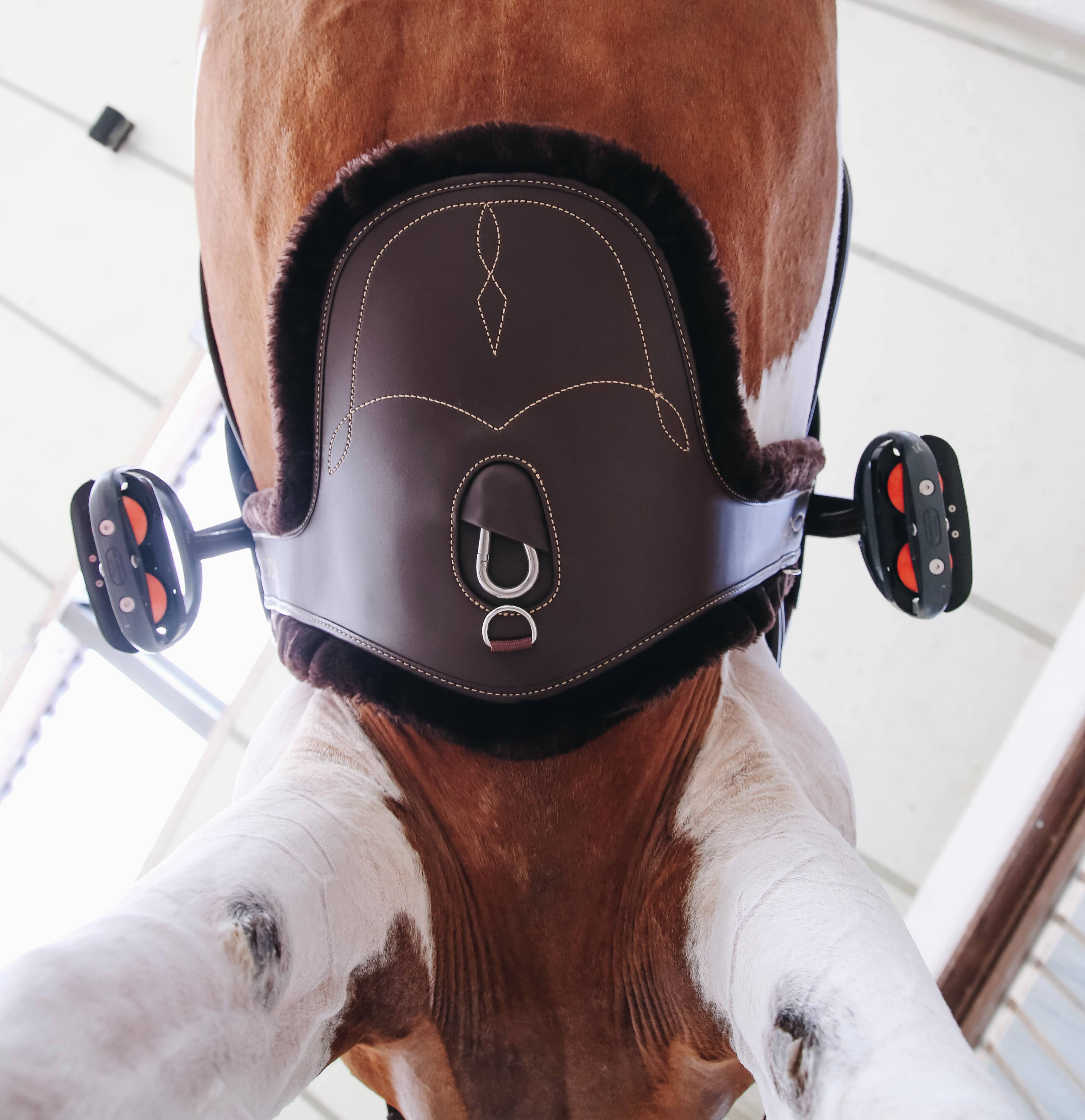 Kentucky Horsewear Lambskin Cleat Belt