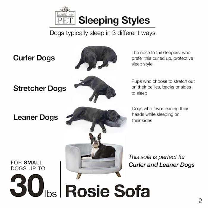 Enchanted Home Pet Rosie Sofa - Pet Supplies online store