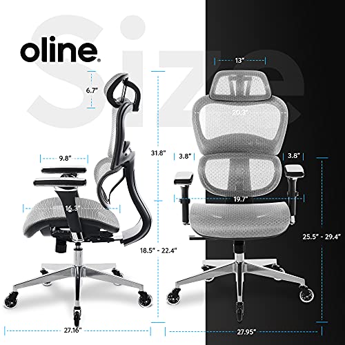 Oline ErgoPro Ergonomic Office Chair, Rolling Desk Chair with 4D Adjustable Armrest, 3D Lumbar Support, Blade Wheels